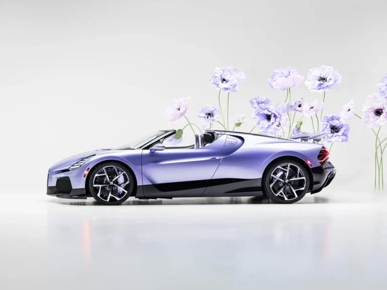 Bugatti W16 Mistral “Caroline”Lavender車身細節