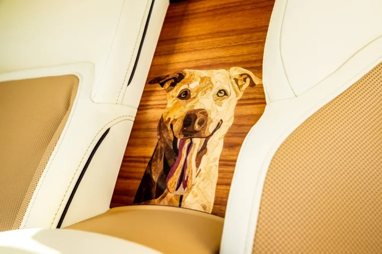 spectre-bailey-gallery-05